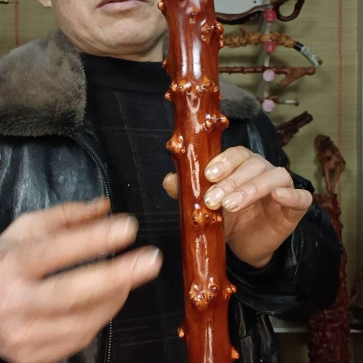 稳定木随*。贵州檬子木   铁马鞭   根艺  半成品