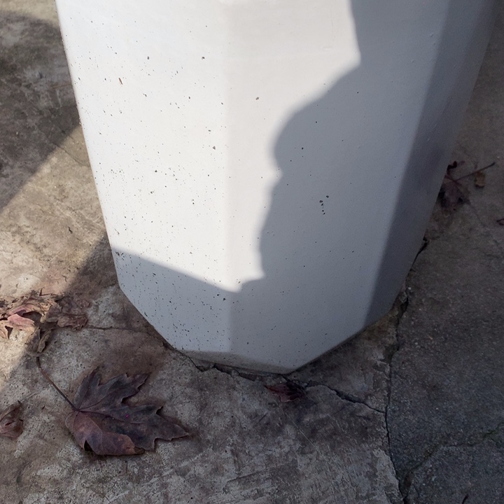 花盆里白色八宝中号陶瓷