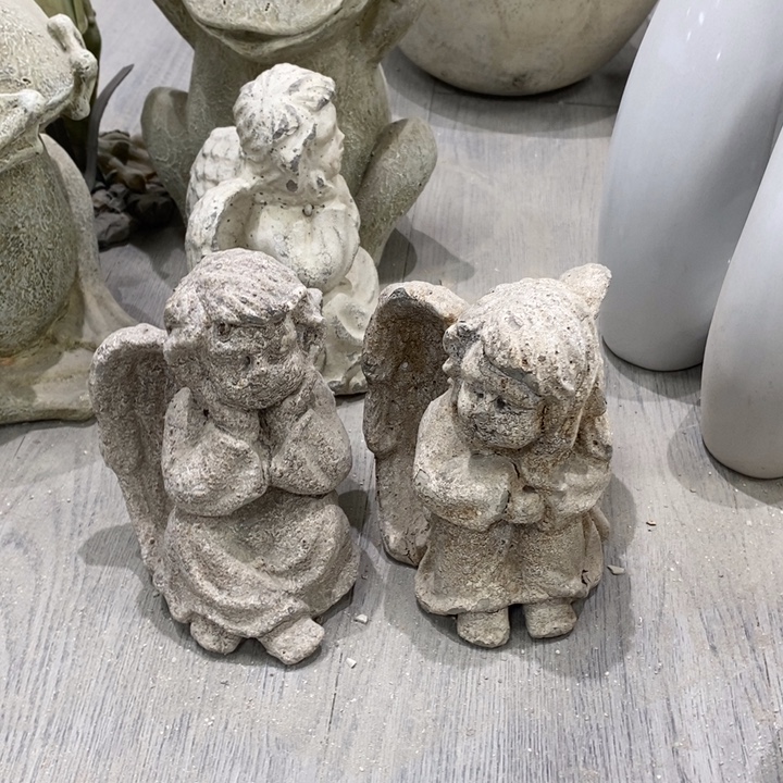 花盆5588888000000000000000