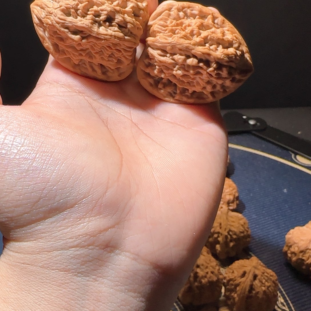 虎头王福利对哈哈哈哈哈哈哈哈哈哈哈
