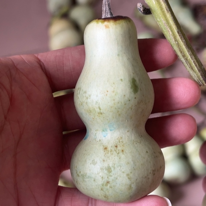 品***生一个葫芦葫芦葫芦