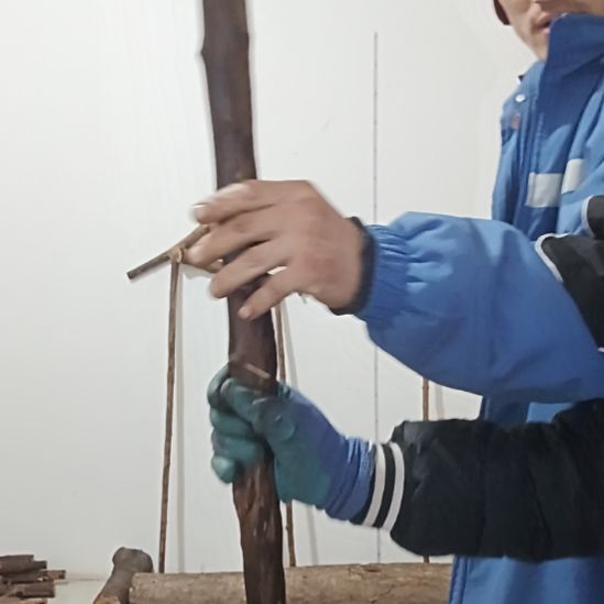 精品原木直播精品