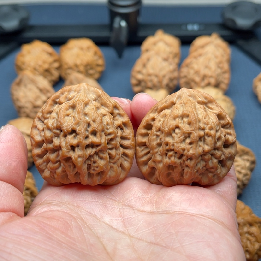 吊坠文玩核桃金公子43尺