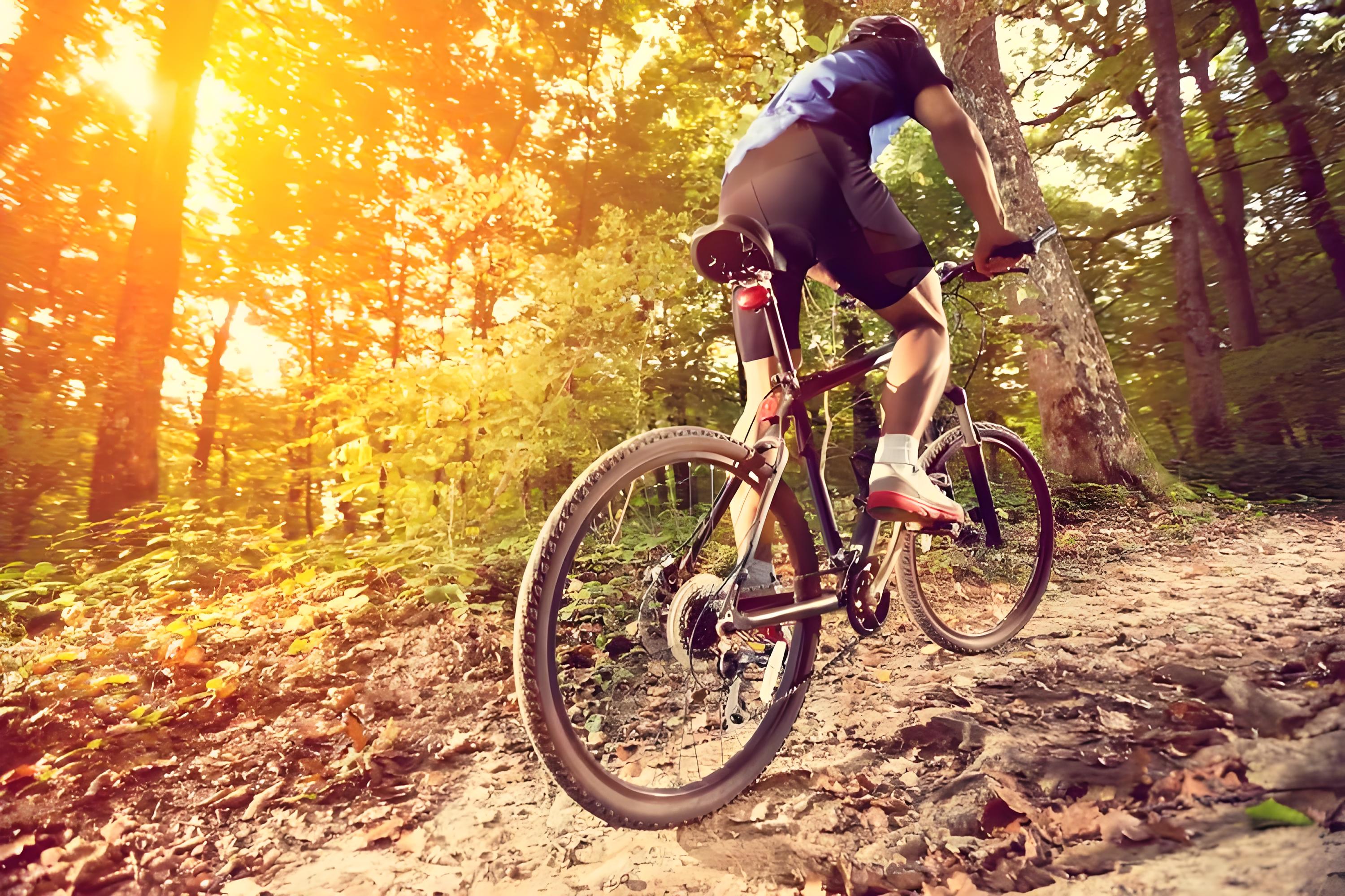 时尚百搭修身速干短袖0172