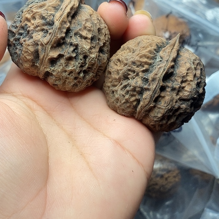 文玩核桃把件25号45mm