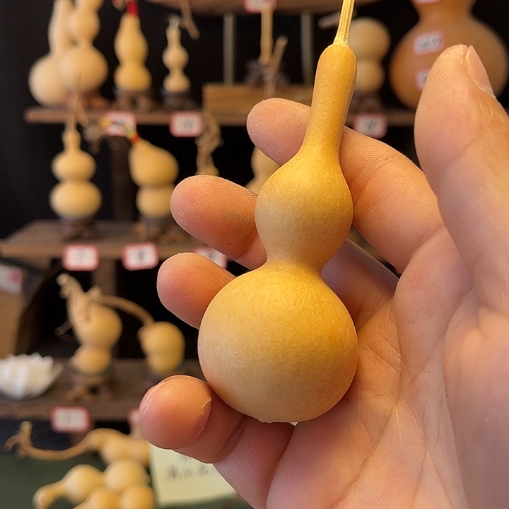 观**风噜噜噜噜噜噜噜噜噜kk
