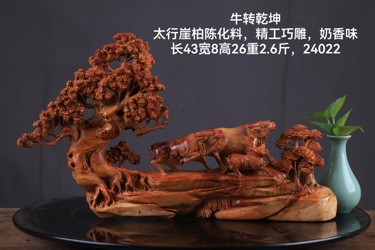 秒498【牛‮冲⁠气‬‎天】太行‮柏⁠崖‬‎24022根雕
