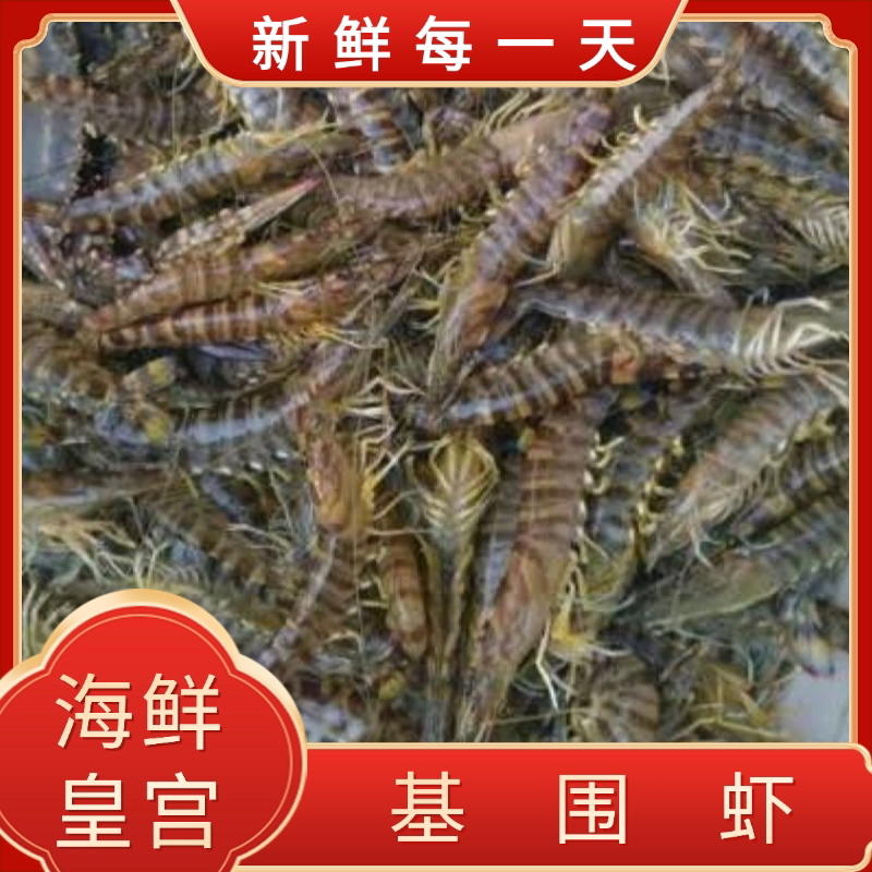 基围虾 2-6斤 海鲜
