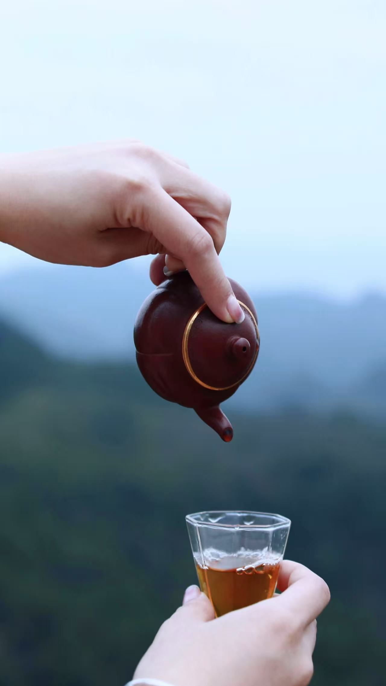 十级老粉随机一泡茶（无需随单）