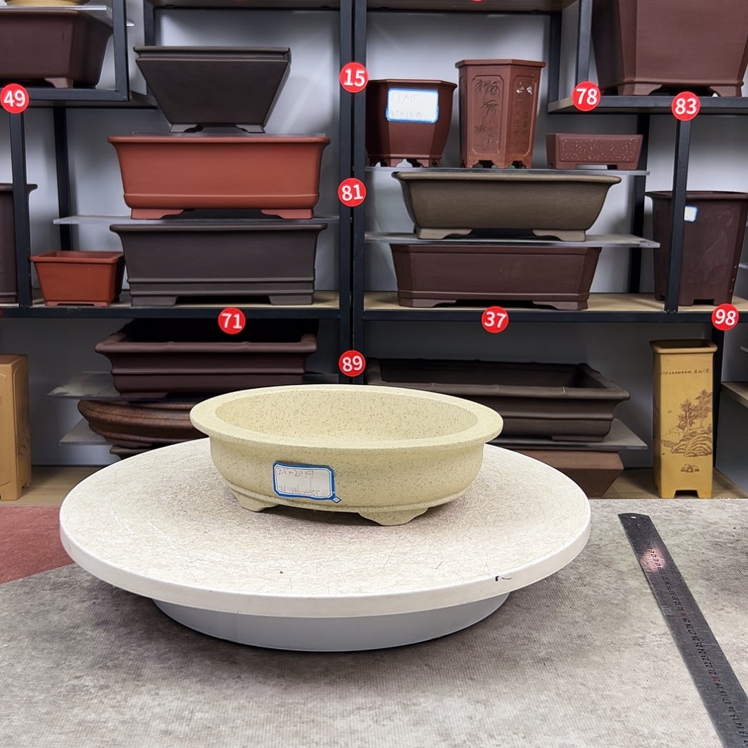 紫砂花盆内长21，内宽16，内深5.5