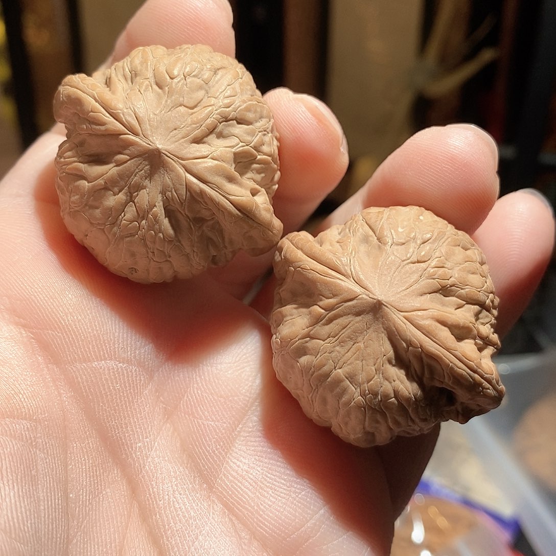 文玩核桃把件40铁锤全品