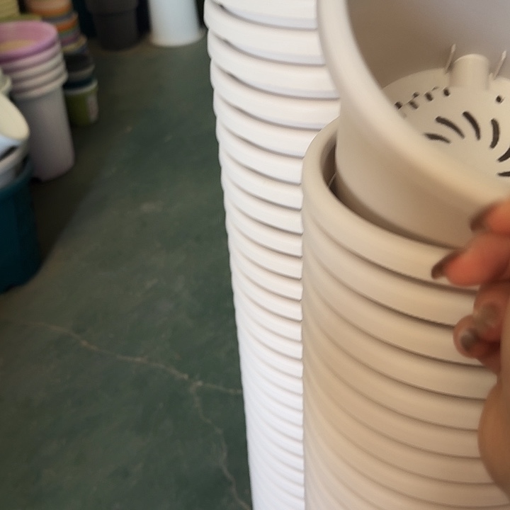 四季3号灰白无托10个特价微瑕