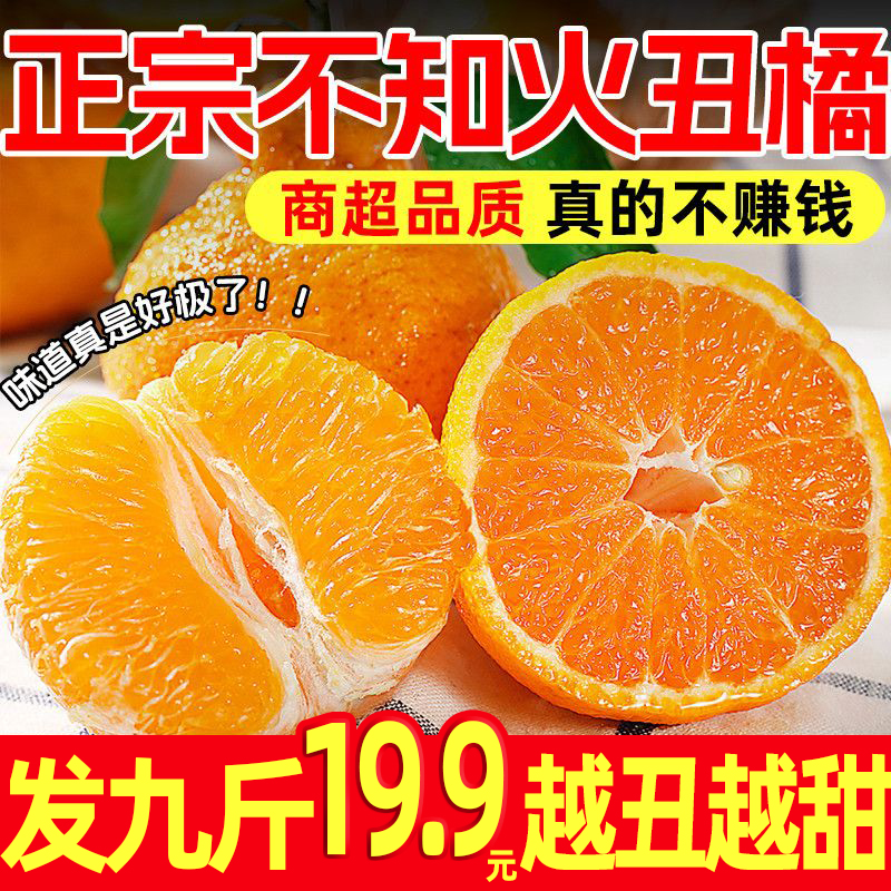 发九斤 高山丑橘正宗时令应季水果不知火丑橘水果橘子薄皮整箱