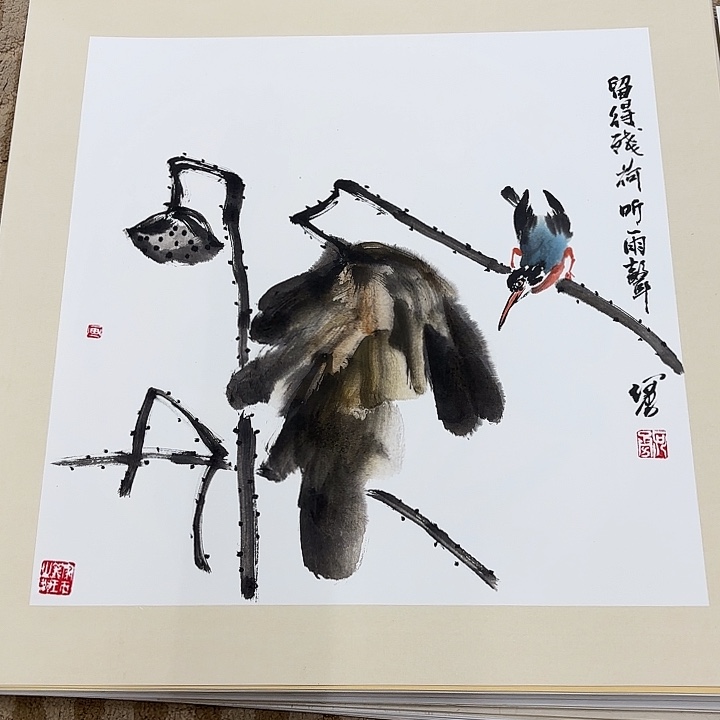 国画花鸟等多种鸟类的栖息地和栖息地