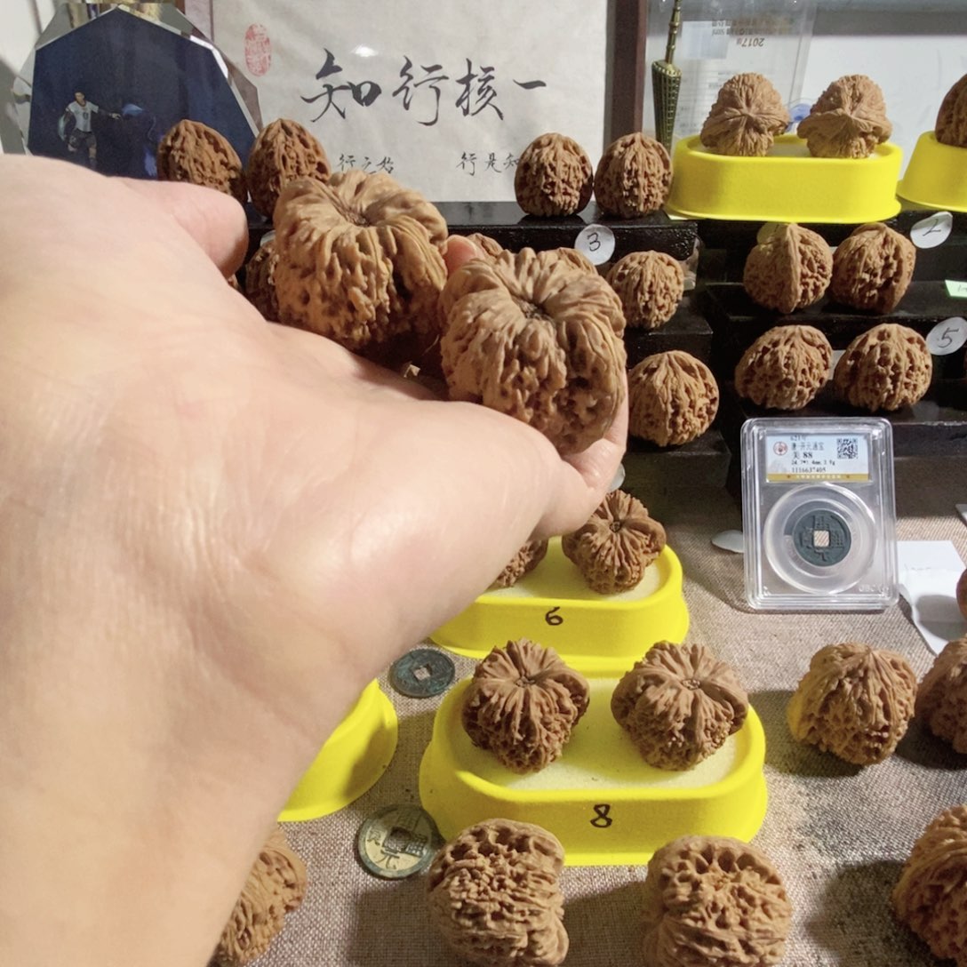 木质类奥迪团子的