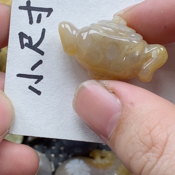 颈饰未镶嵌硅化珊瑚（珊瑚玉）