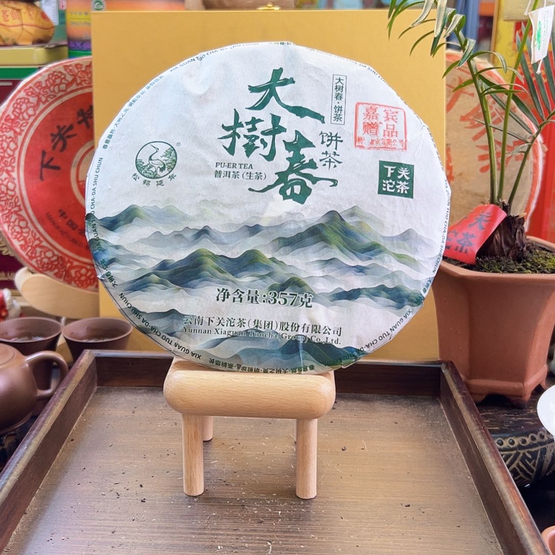 2024年下关大树春357克生茶