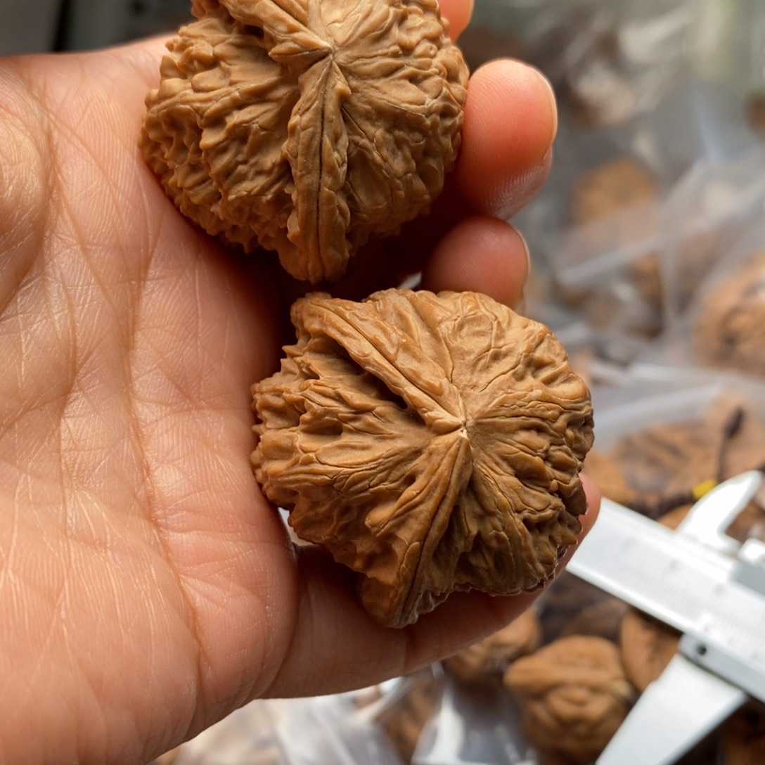 文玩核桃把件白蛇