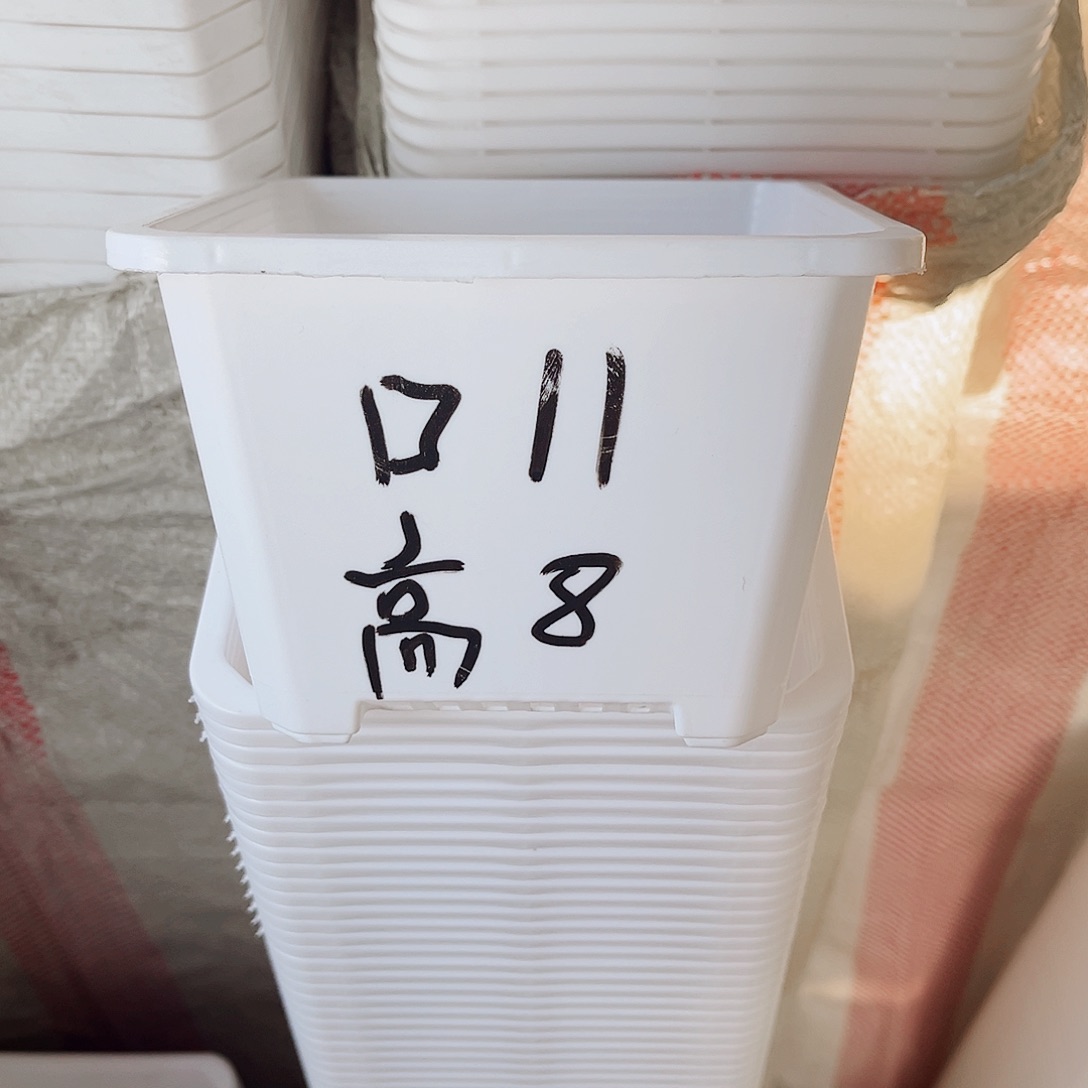 塑料福利款11方白色盆10个无托