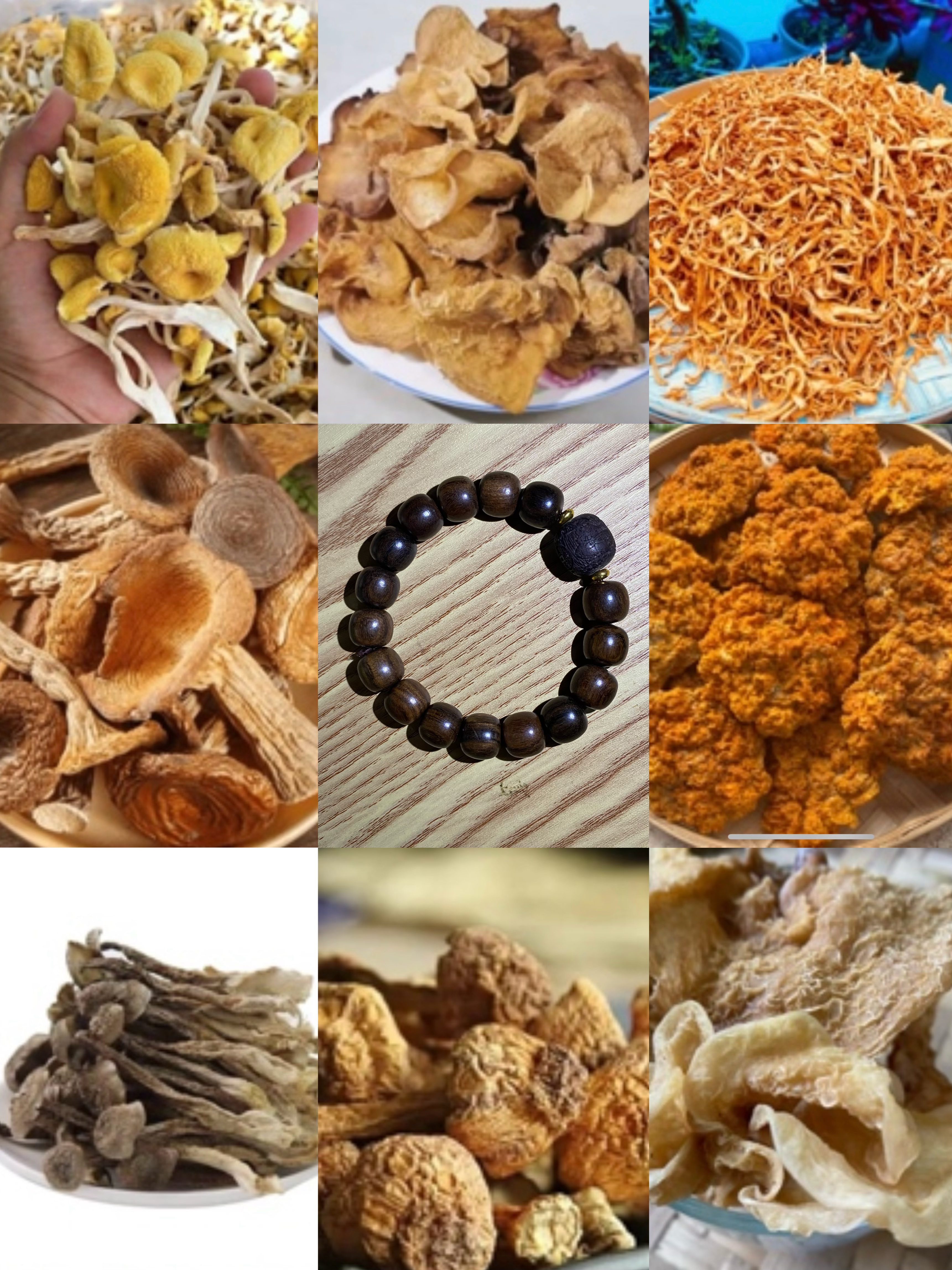 【A静静收山货】191号菇20g起