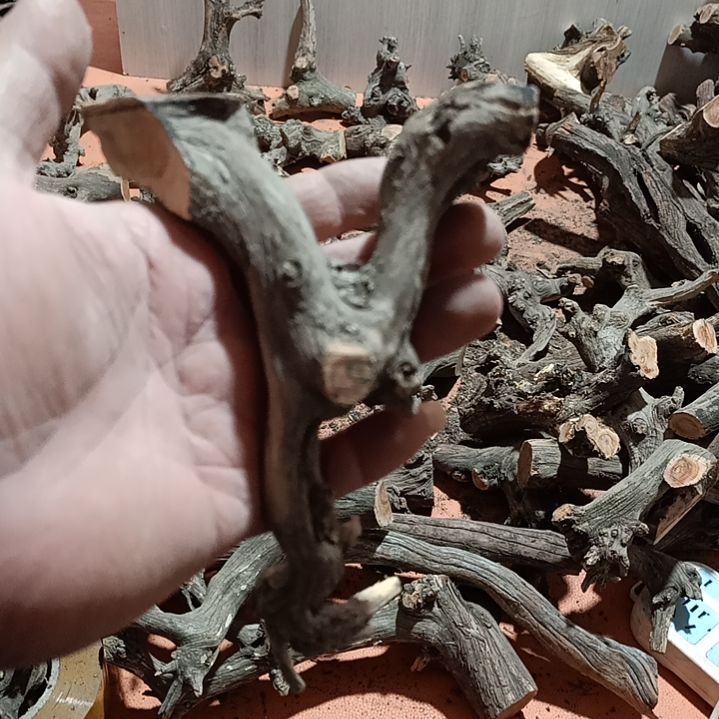 过***，崖柏随行弓毛料