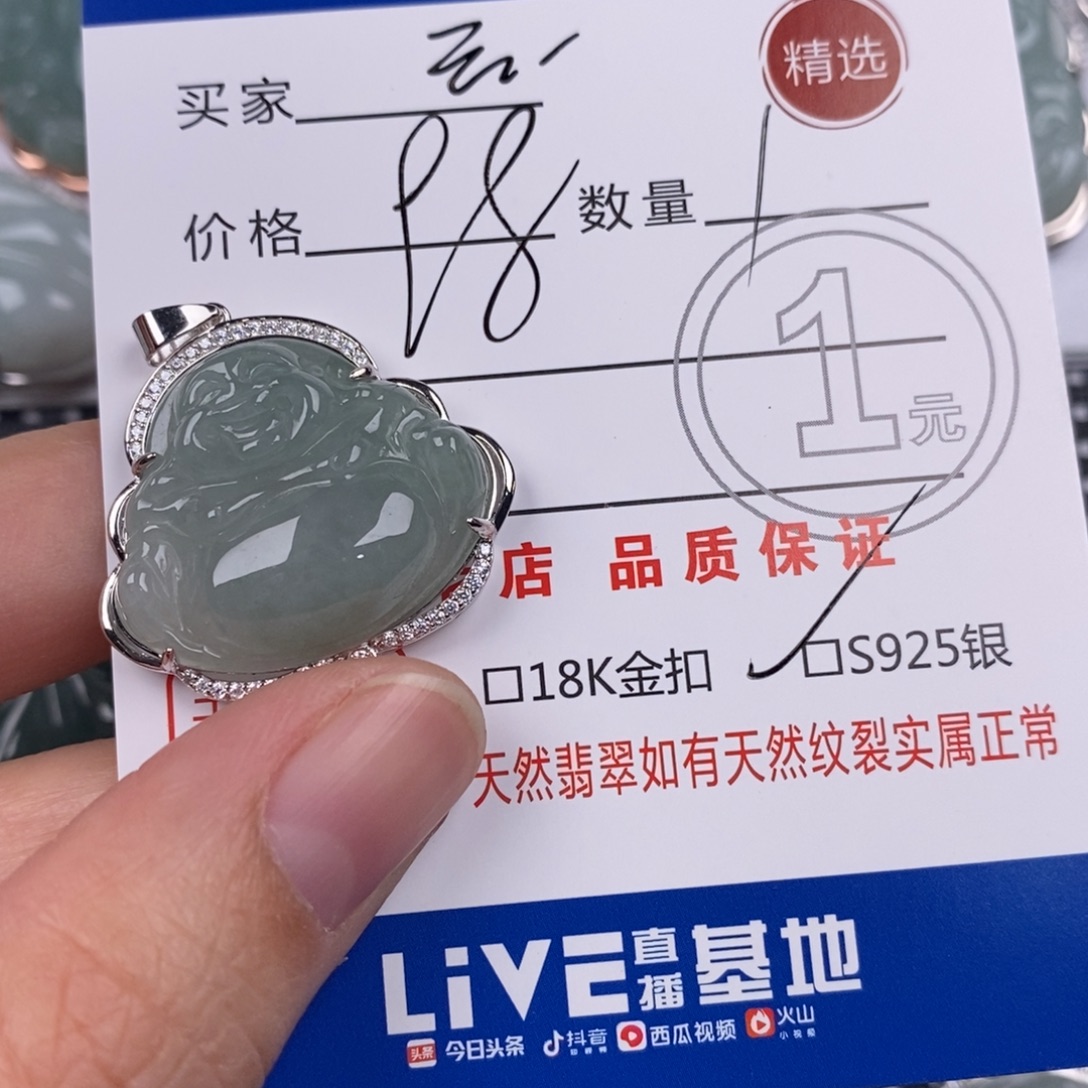 是***…翡翠银S925镶嵌颈饰