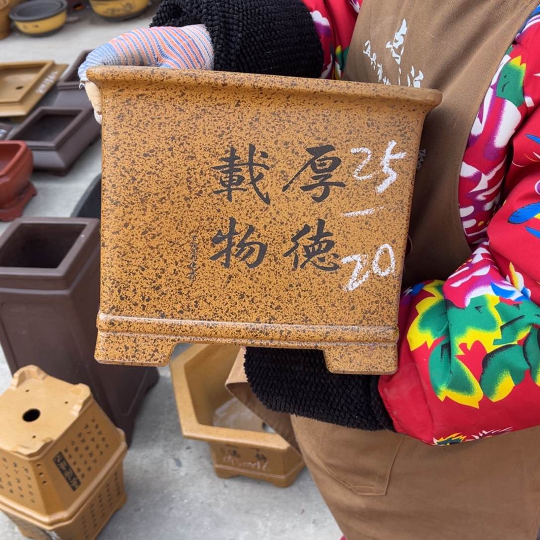 紫砂花盆盆景艺术