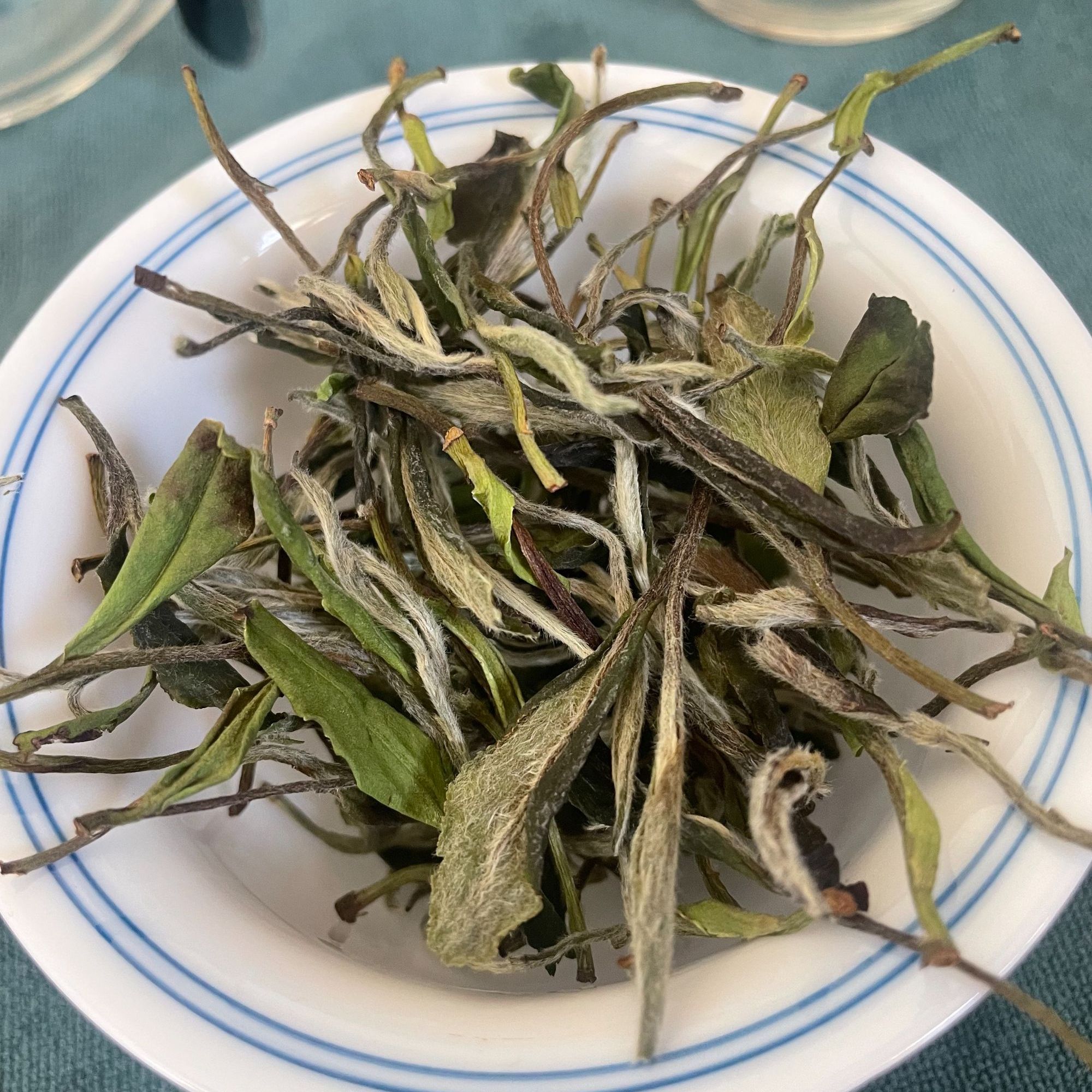 福鼎白茶2018大洋山高树荒野低级牡丹50g