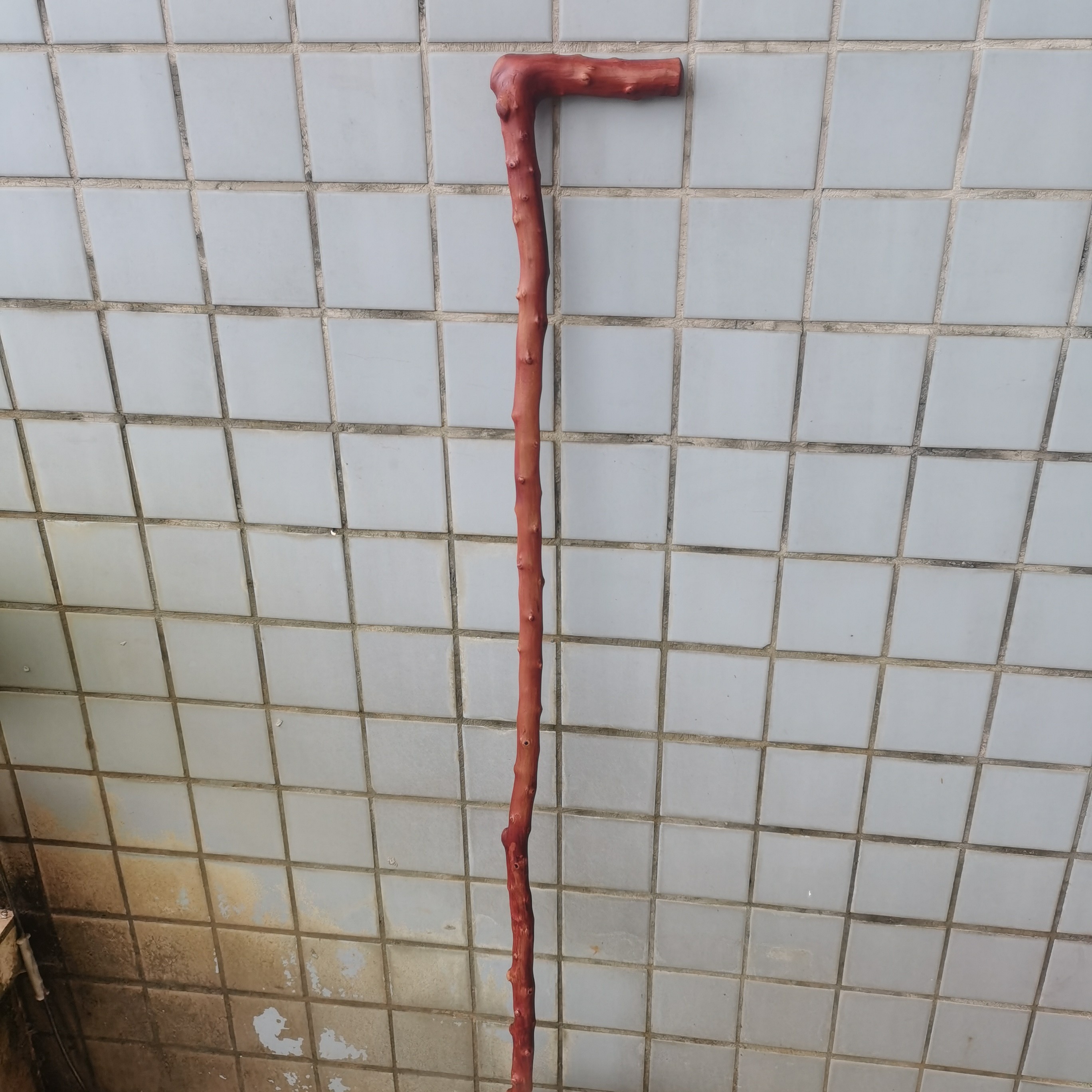 75号纯手工制作红刺刺拐杖