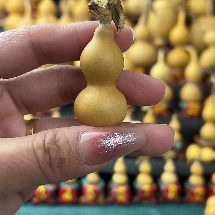 ****…天然葫芦葫芦葫芦葫芦葫芦