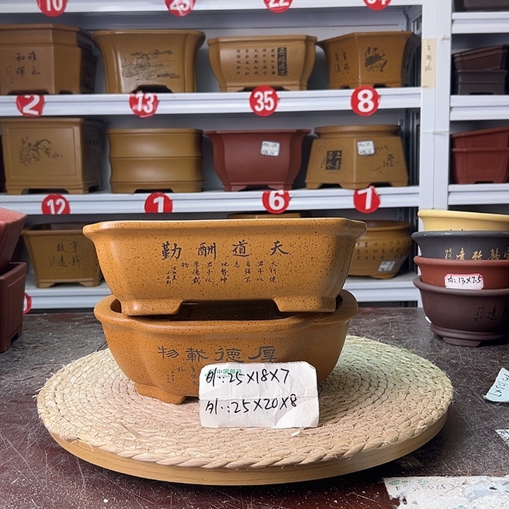 紫砂花盆蛇年大吉