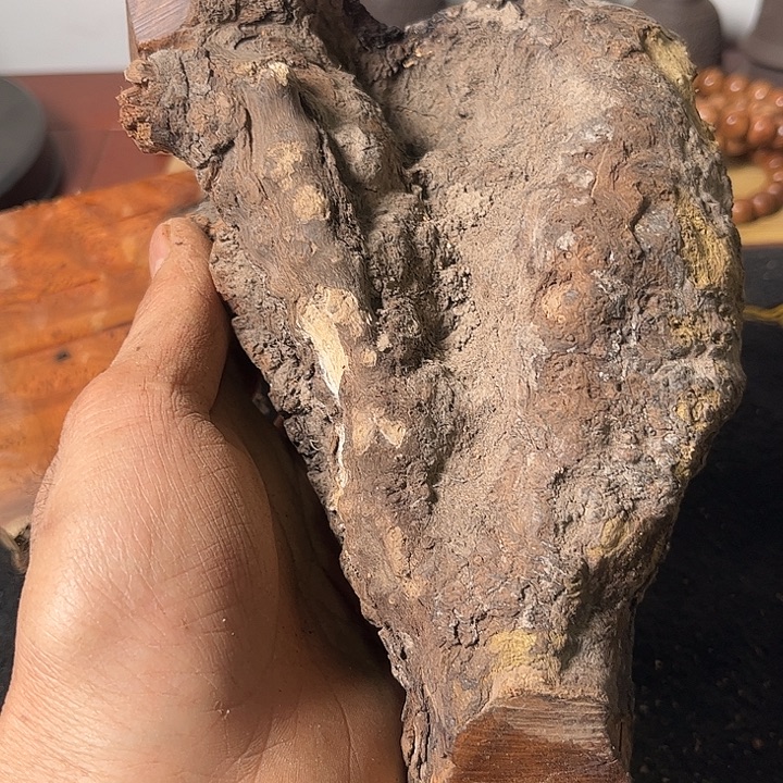 @***号香榧木我们的确是一个人在家做