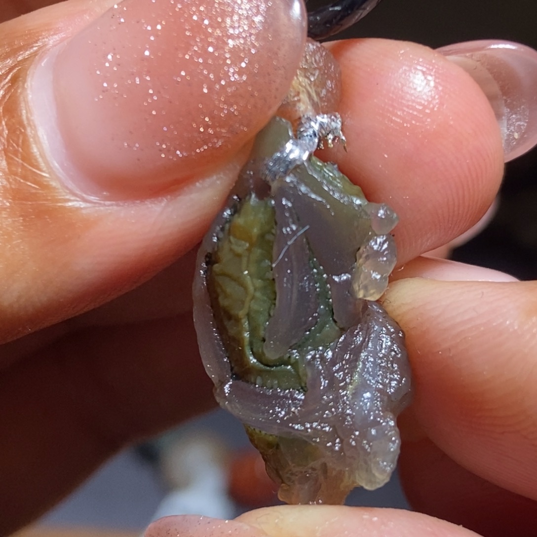 玛瑙/玉髓未镶嵌珠宝半成品