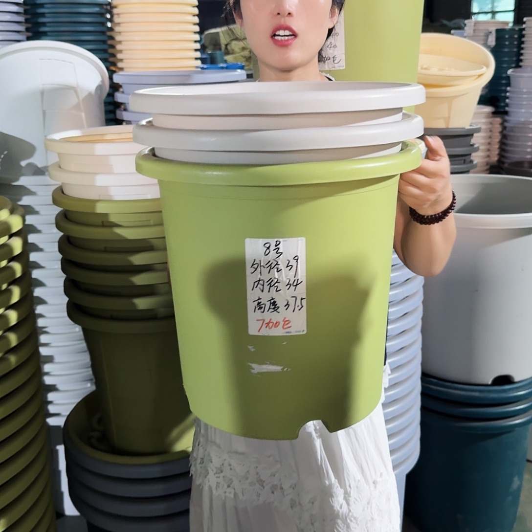 微瑕8#无拖果绿5个