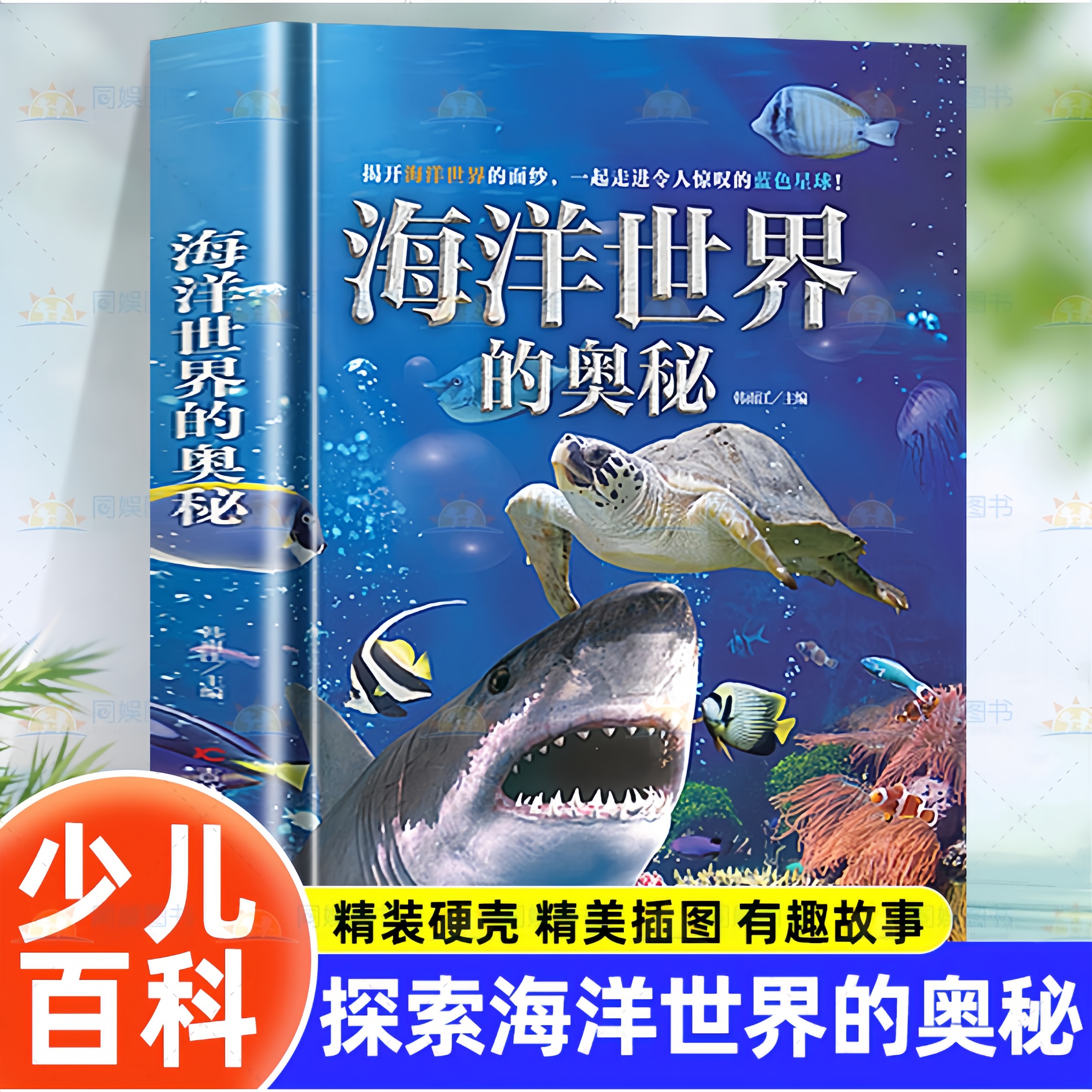 海洋世界的奥秘精装少儿科普存在读本真实有趣的海洋知识书籍儿童
