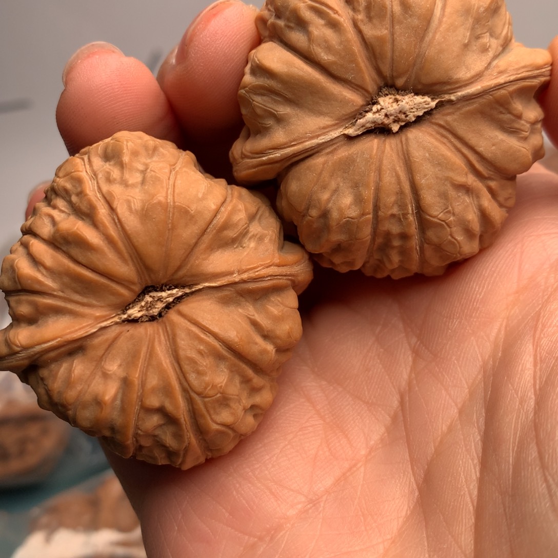 不***急南瓜45粒左右即可以