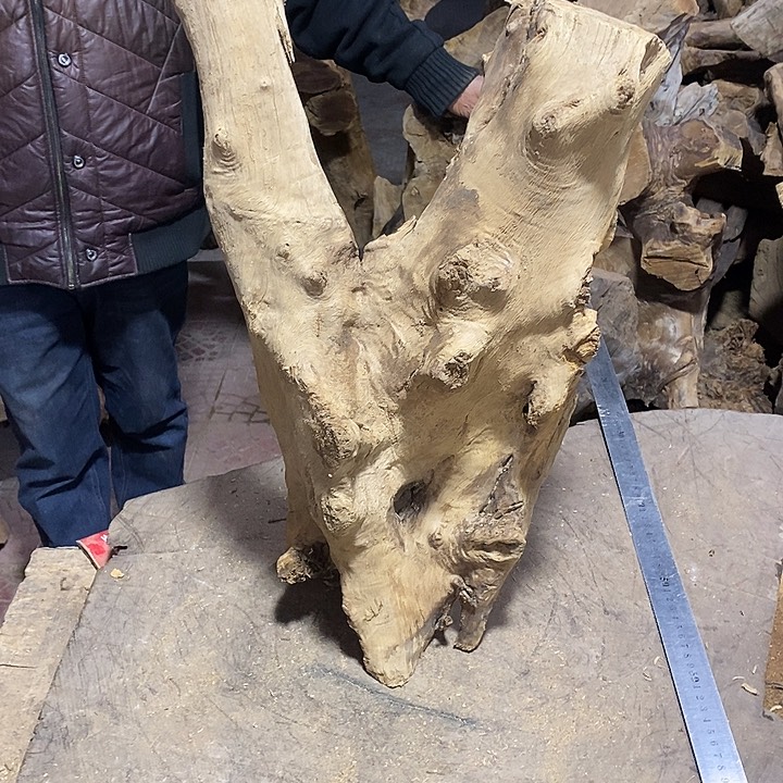 乌木类A*语金丝楠木小叶