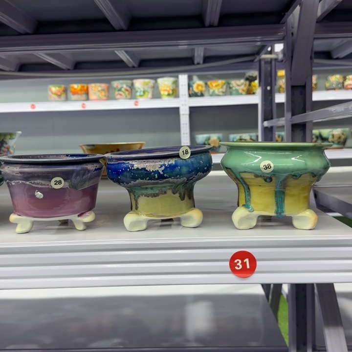 红陶田小姐多肉花盆