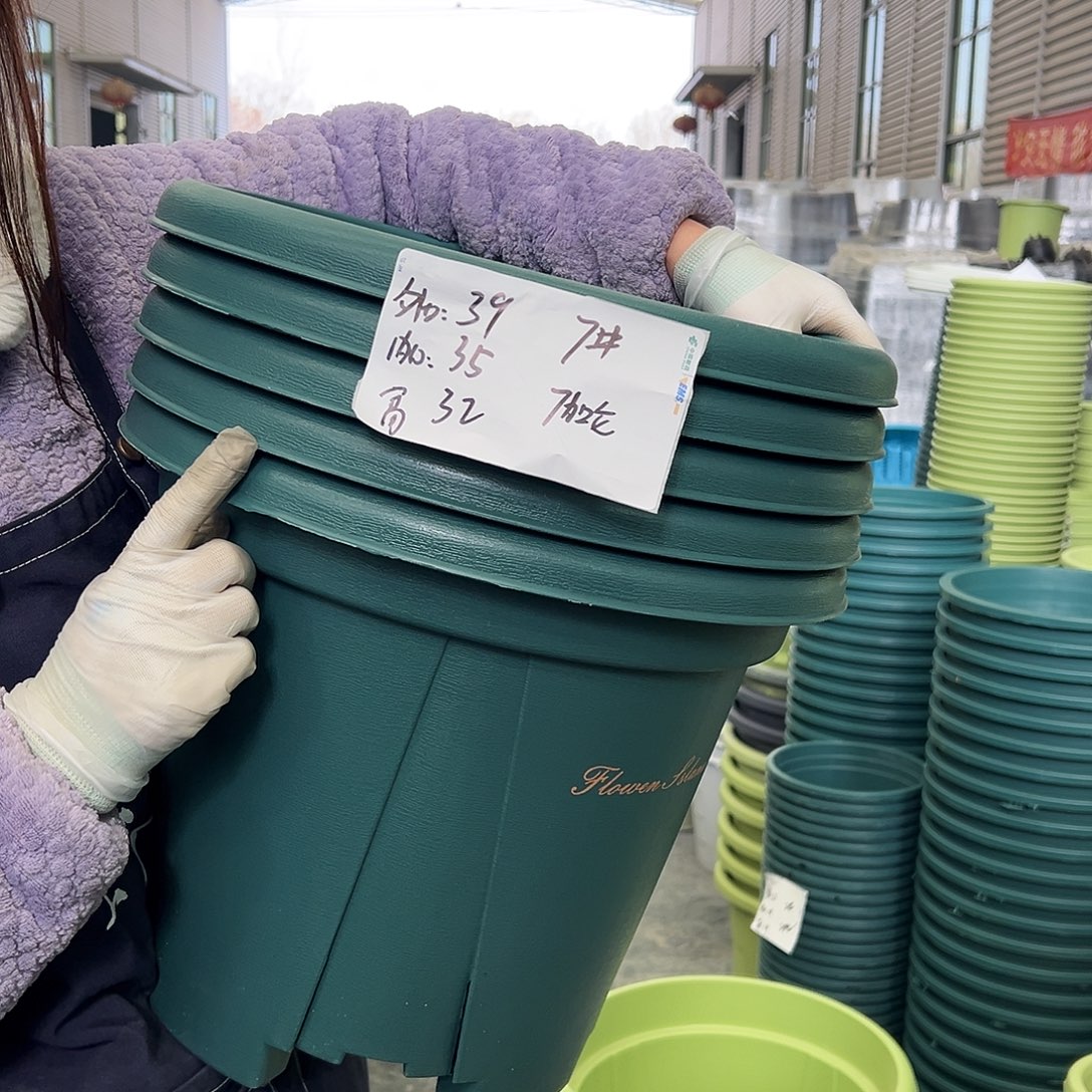 青山盆7#墨绿5个无托