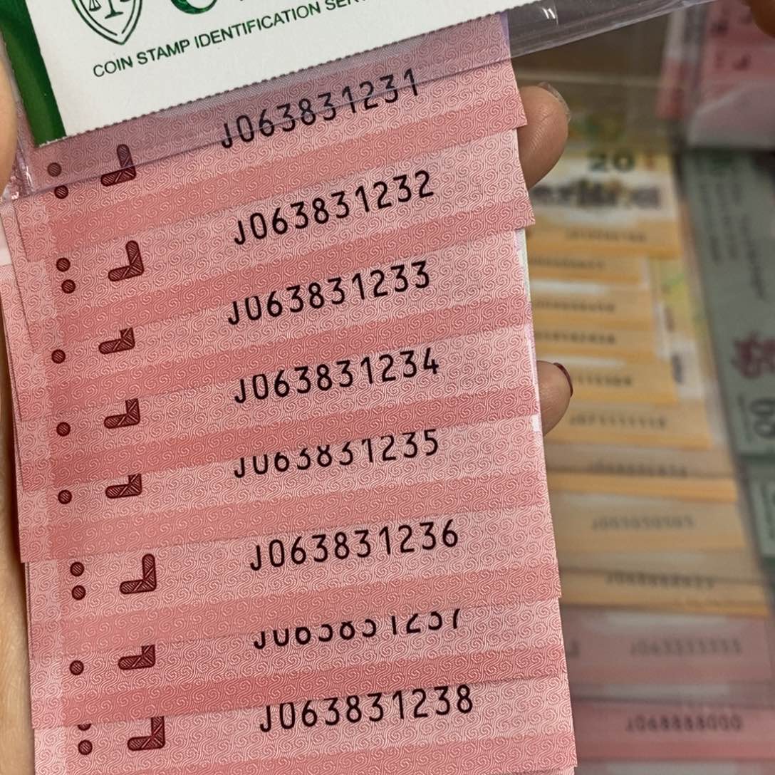 塑料 1231-1240。。。。。。。。