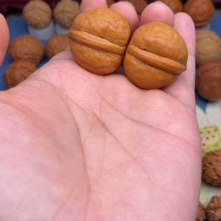 文玩核桃把件小海豚