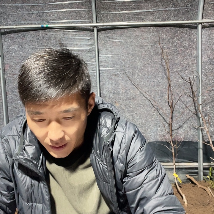 白***翁无花朵蜜罐一物一拍树枝