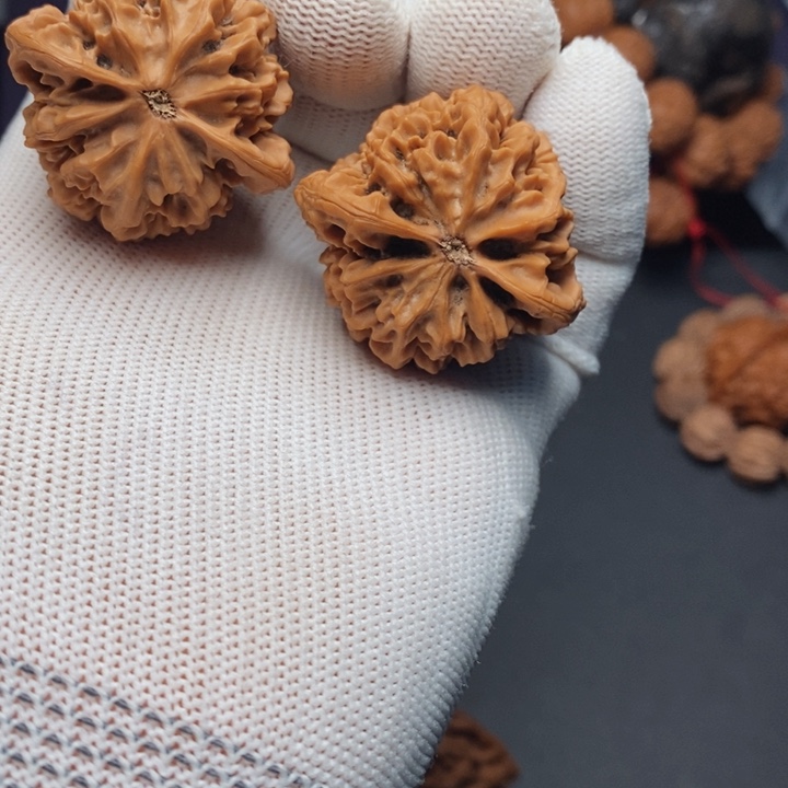 把件文玩核桃?*?秦岭秦闷