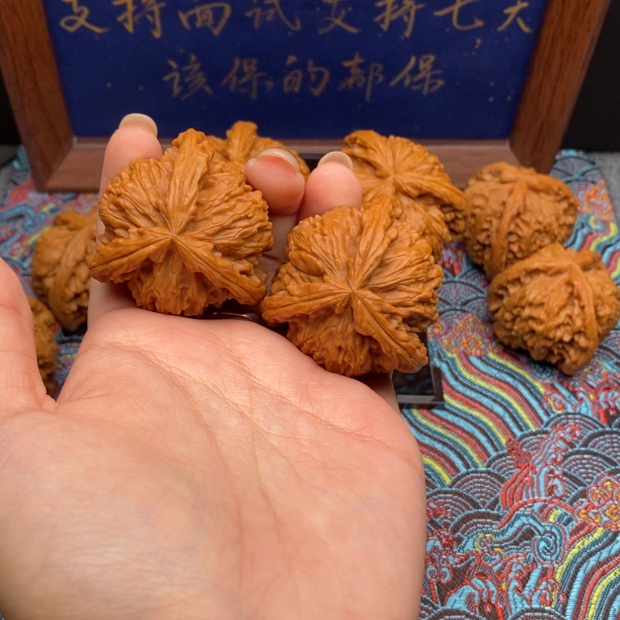 【闪购商品】大***6白狮