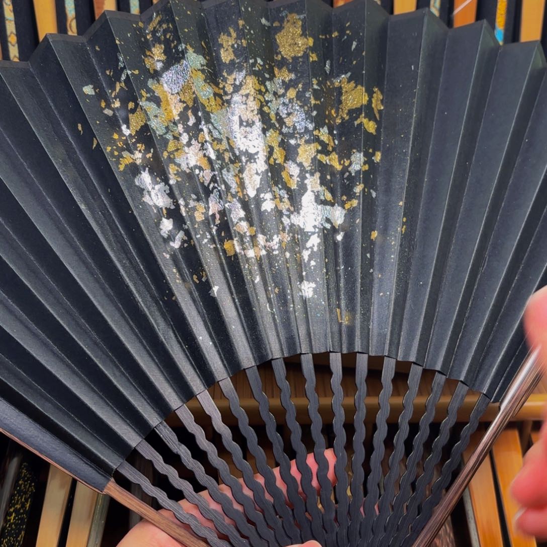 扇子爆炸金龙鳞棕竹