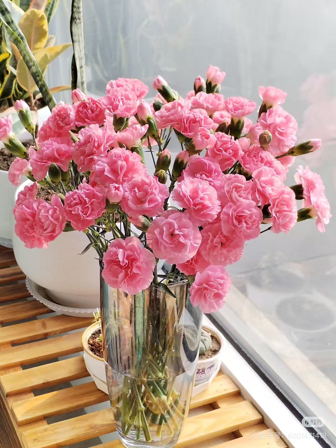 粉色多头康乃馨-任意两单发顺丰或者德邦送货上门云南鲜花