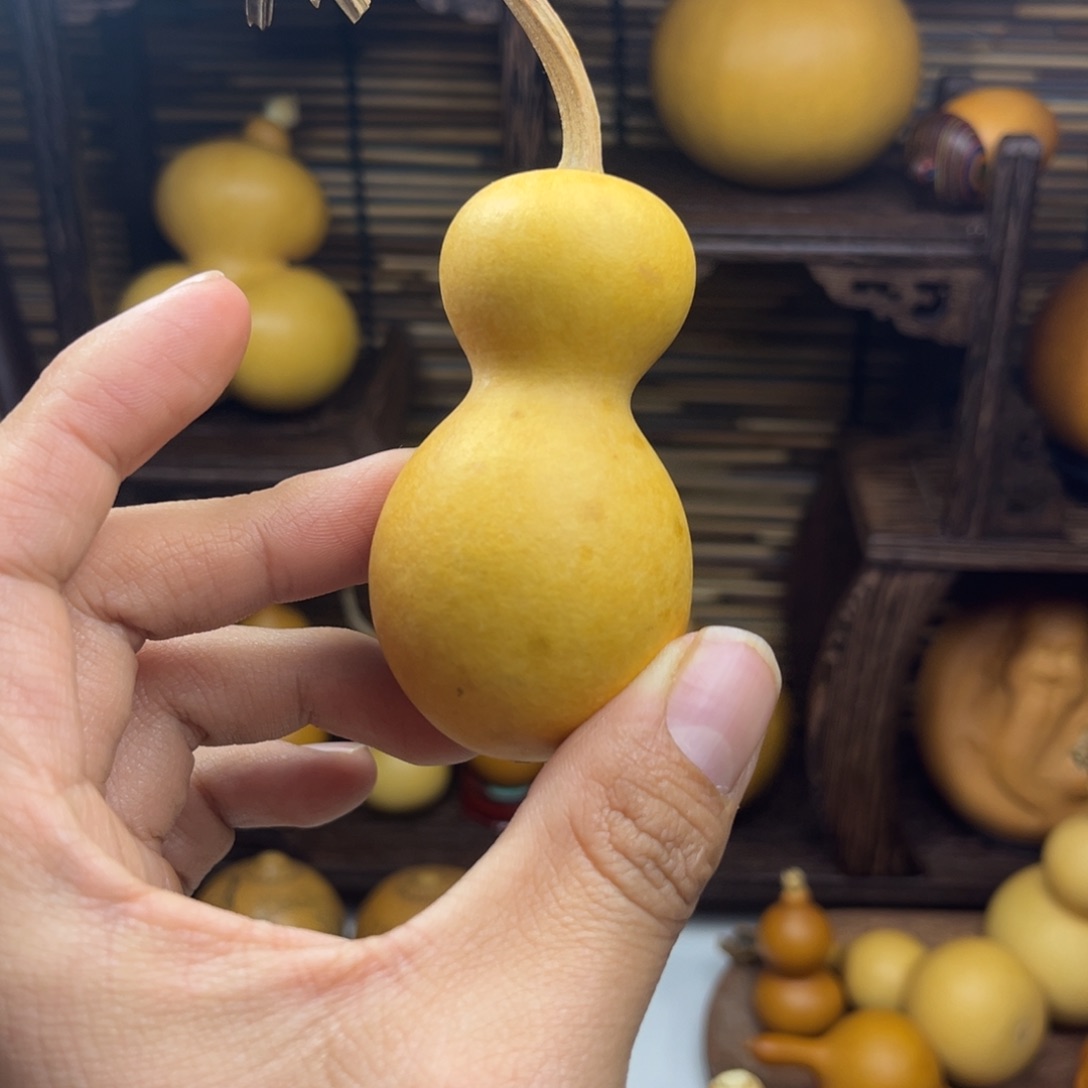 和尚头葫芦品种葫芦