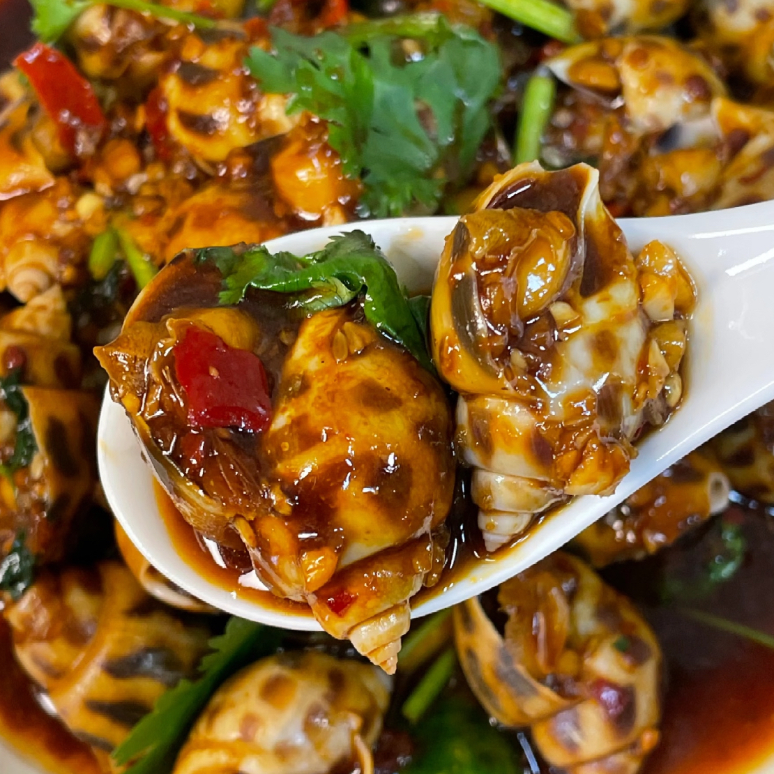 【辣炒】花螺一份-深夜食堂