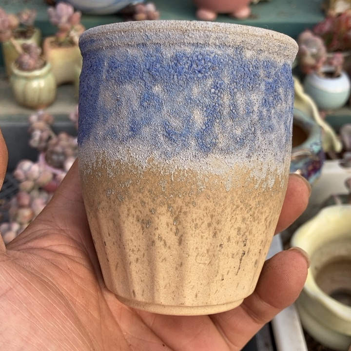 熙***姐盆盆一个带盆发货