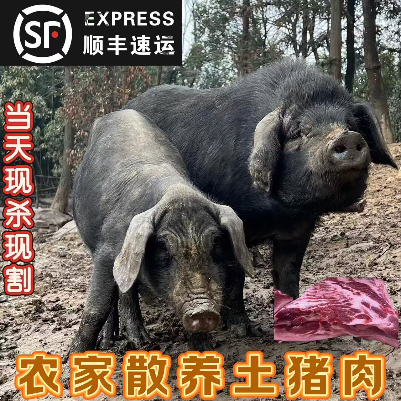 【梅花肉】山里人家农家土猪肉新鲜屠宰梅花肉 顺丰发鲜货